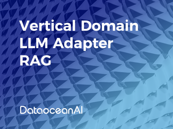 vertical domain llm1